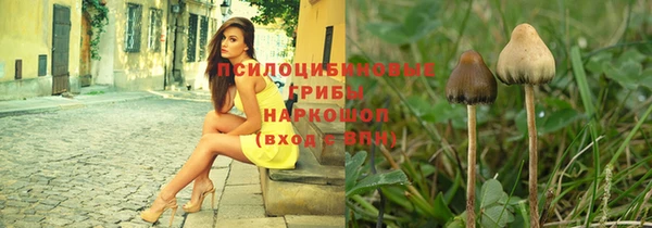 СК Сатка