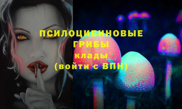 прущий лед Абаза