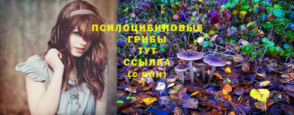 прущий лед Абаза