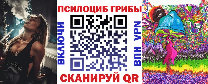 Псилоцибиновые грибы прущие грибы  МЕГА вход  Галич  наркотики 